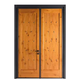 Chinese unique home designs security doors by Doorwin