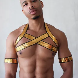 Shiny Gold Harness